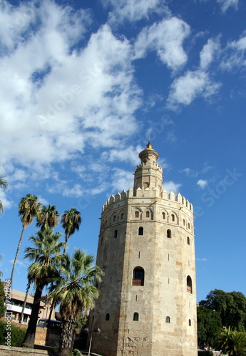 Torre dell  oro a Siviglia