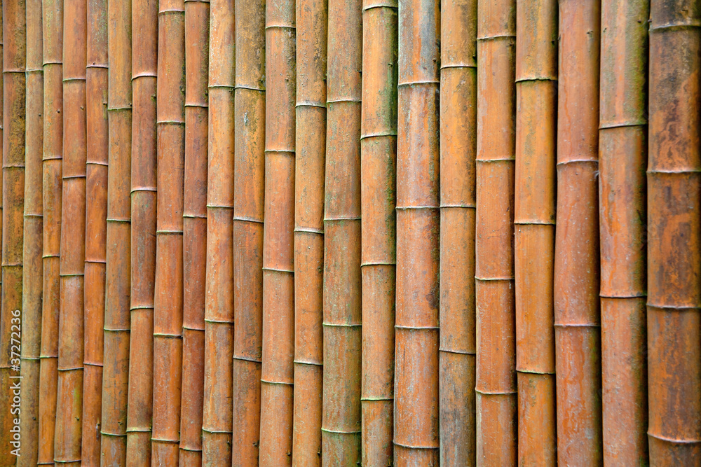 Fototapeta premium bamboo wall/bamboo house