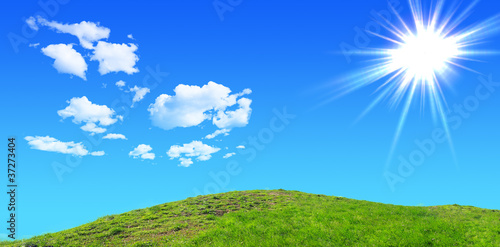 Green grass hills under midday sun