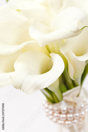 Fototapeta Naklejka Na Ścianę i Meble -  calla flowers