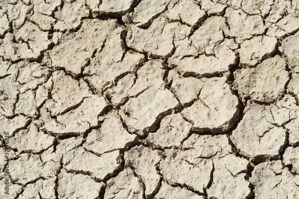 Dry Mud Cracks Dry Mud Cracks