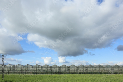 Greenhouses onder cloudy sky