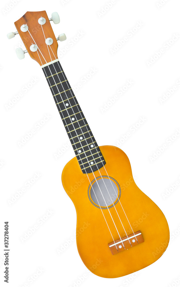 Obraz premium ukulele