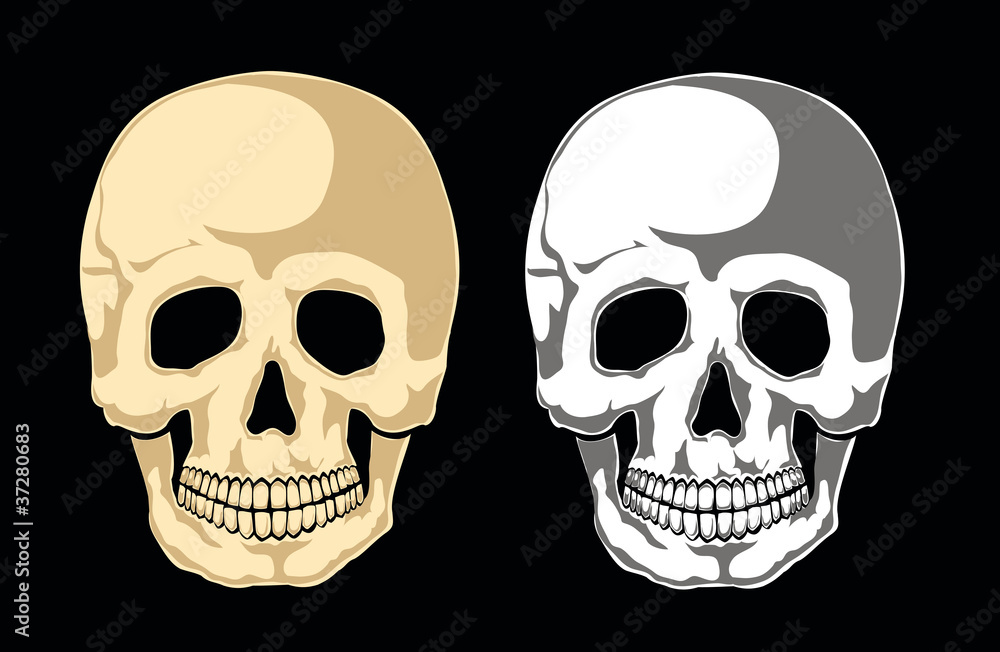 Human skull on black. Separate layers Human skull on black. Separate layers