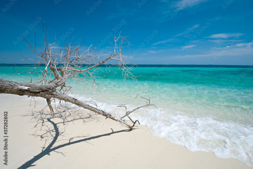 Thai sea : White sand beach and blue sky