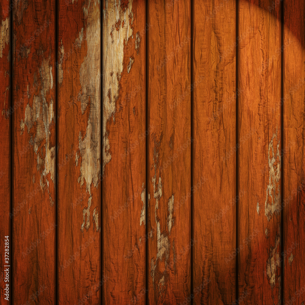 wood texture wood texture