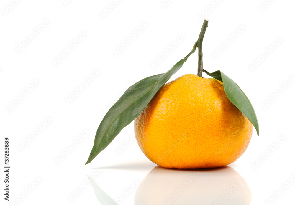 Mandarin orange Mandarin orange