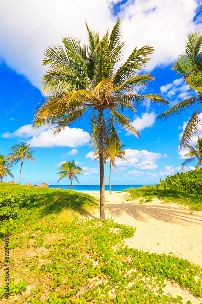Obraz premium Beautiful beach in Cuba