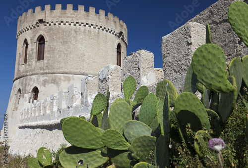 Tower and cactus