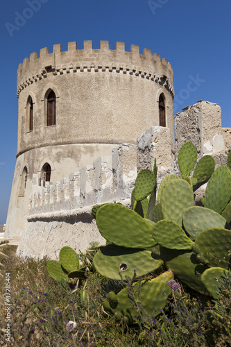 Tower and cactus, vertical