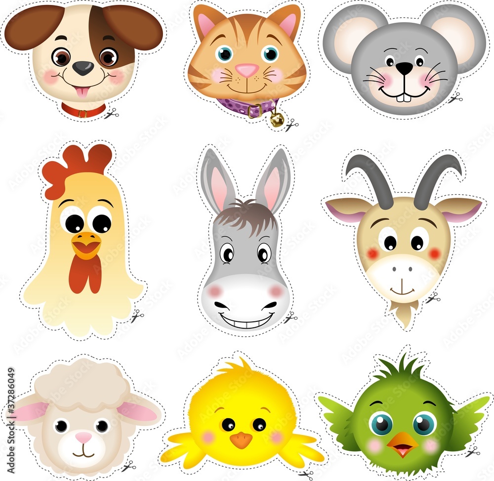 Fototapeta premium Pet head cut