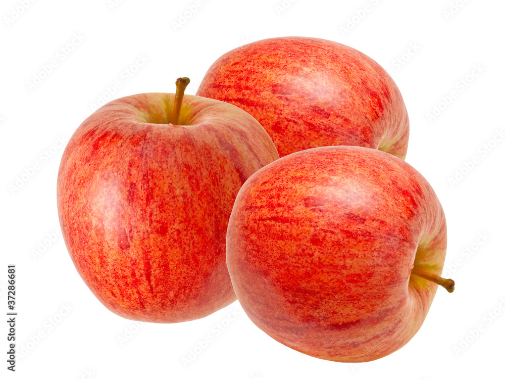 red apple  isolated on white background