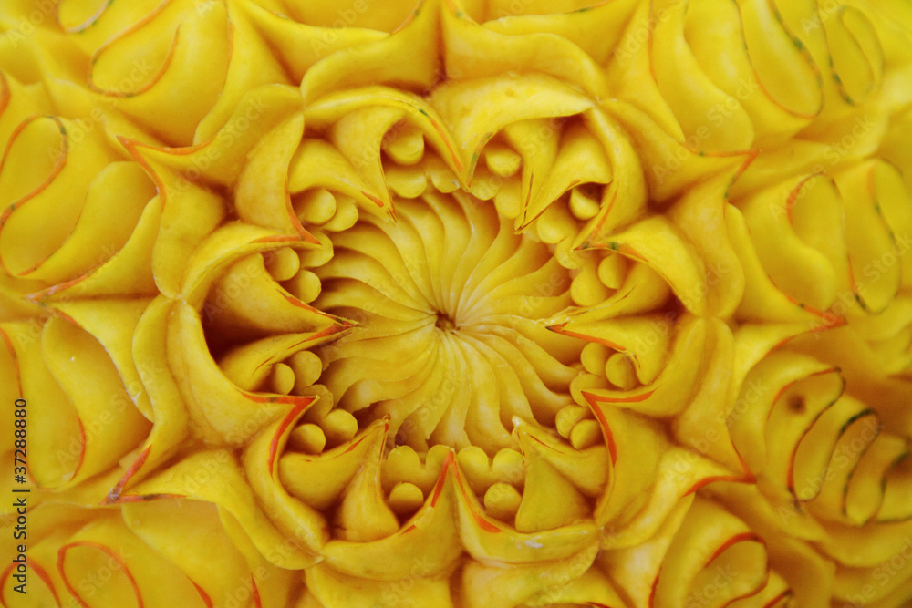 art background from the pumpkin art background from the pumpkin