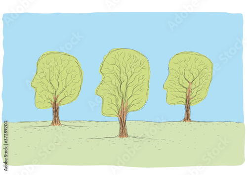 alberi viso
