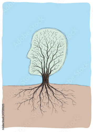 albero viso