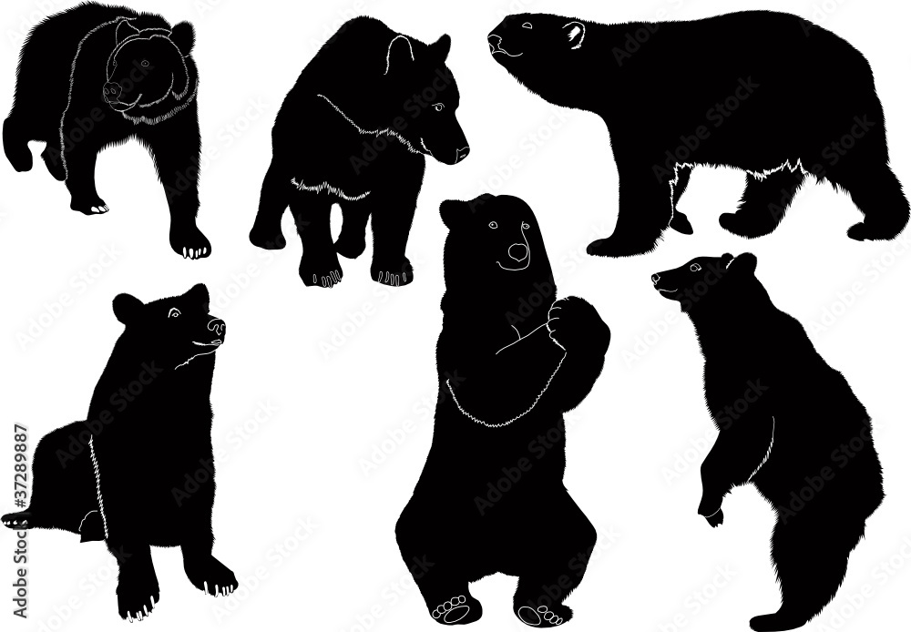 Naklejka premium Bears animal silhouettes