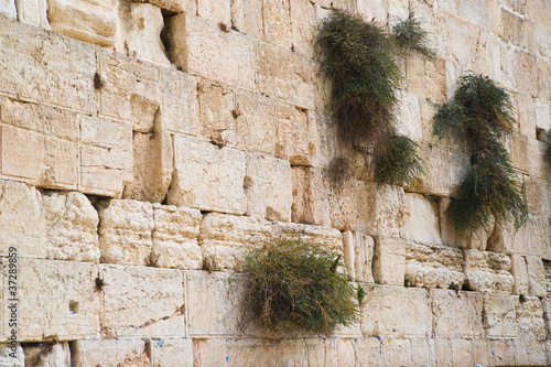 Close up of Western or Wailing wall. Jerusalem. Israel.