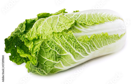 Valokuva Chinese cabbage