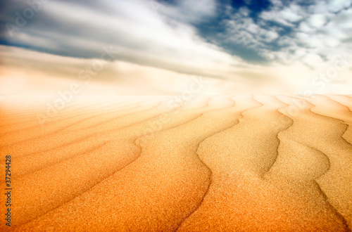 sunset in sand desert