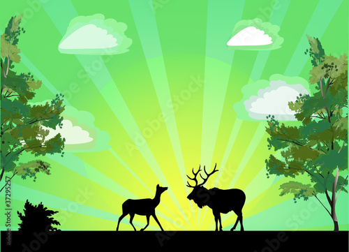 two deers between trees at sunrise