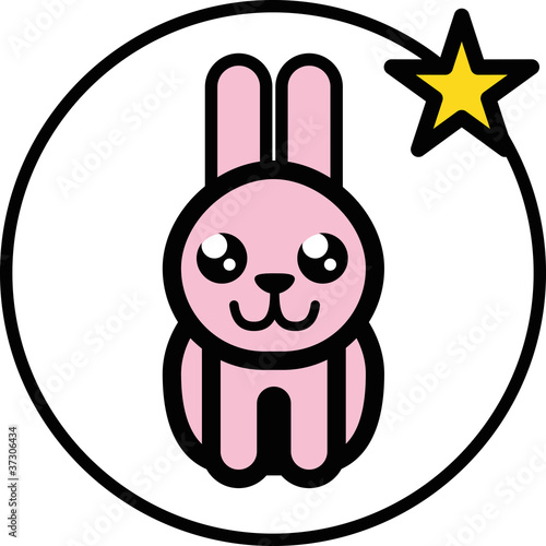 zodiac-chin-rabit