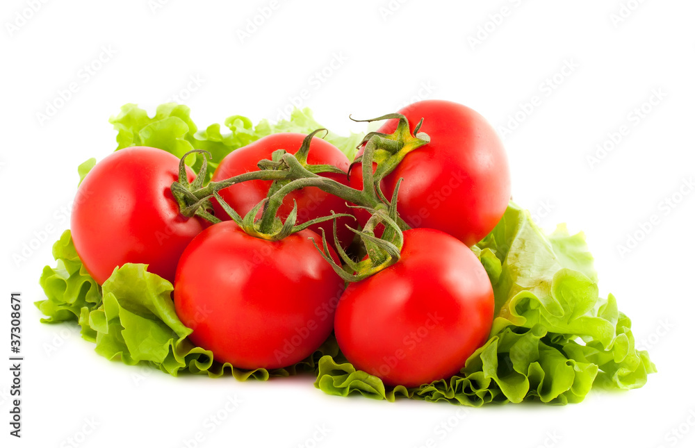 Branch of tomatoes on salad leaf Branch of tomatoes on salad leaf