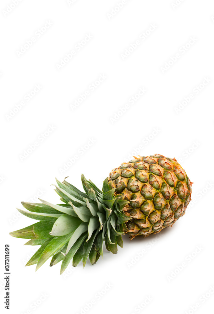 isolated pineapple with space for text isolated pineapple with space for text