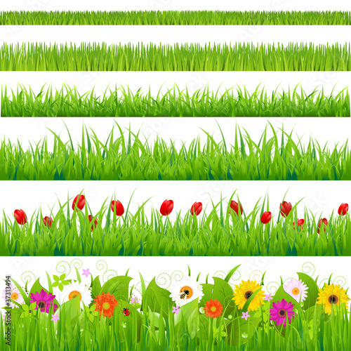 Vászonkép Big Grass And Flower Set