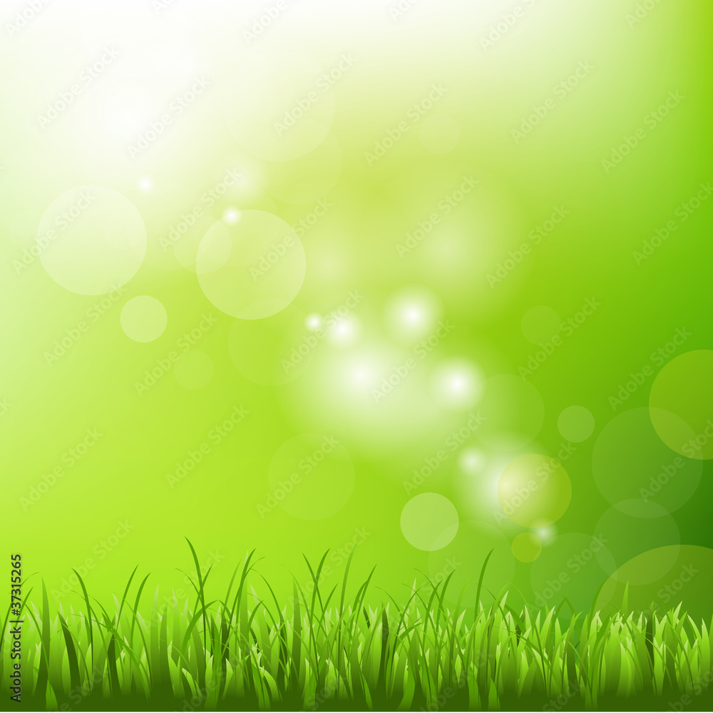 Green Background With Blur And Grass