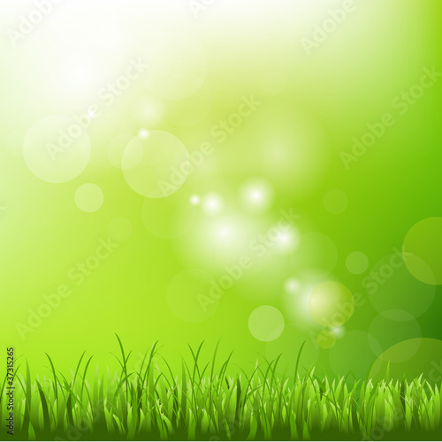 Green Background With Blur And Grass