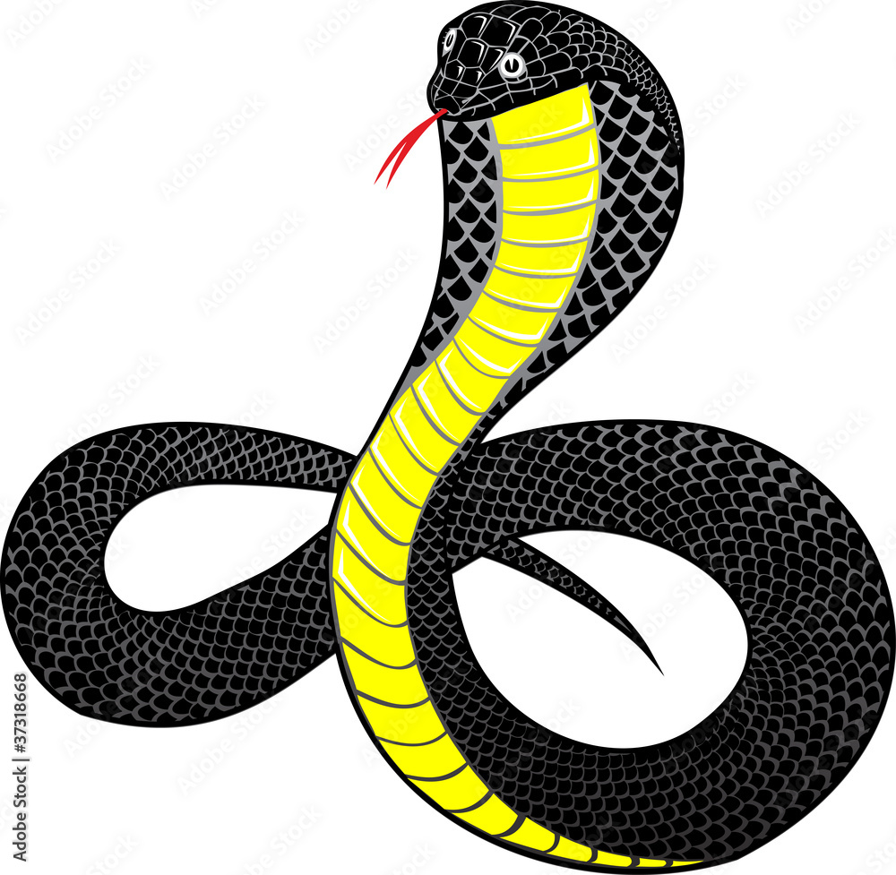 Fototapeta premium Vector illustration snake