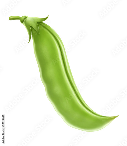 peas pod  green isolated on white background