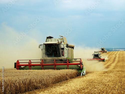 Harvester photo