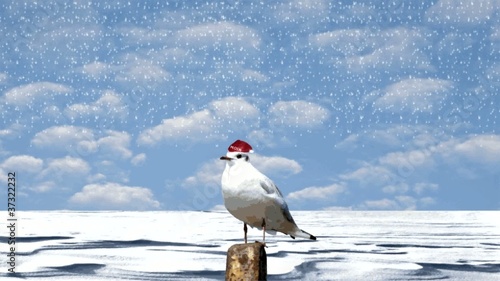 norddeutsche Winterlandschaft