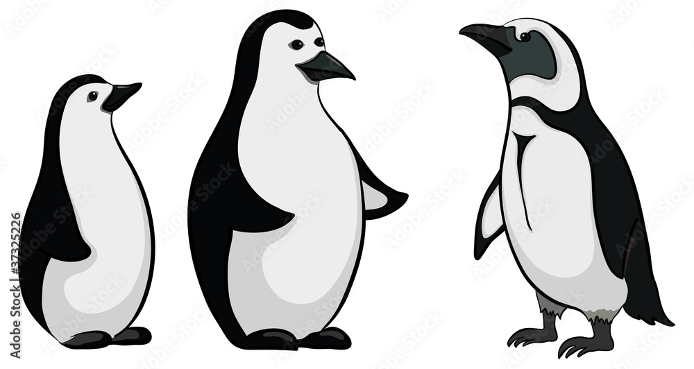Obraz premium Emperor penguins