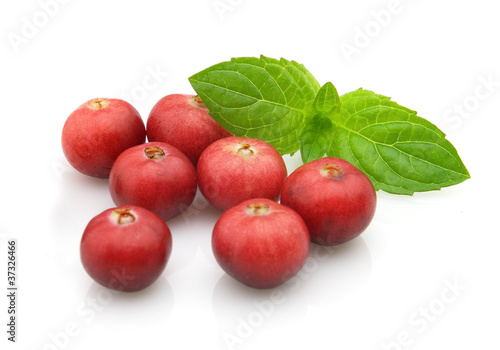 Berry of cranberry with leaves of mint