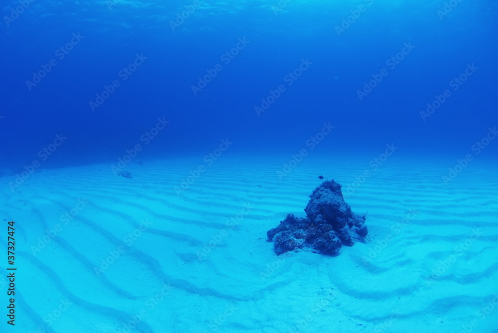 Fototapeta premium 白い砂地の波紋と岩