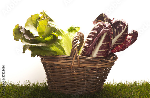 cesto di insalata sul prato