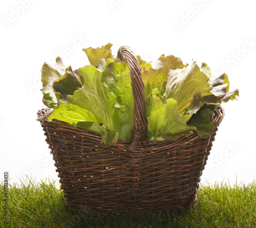cesto di insalata sul prato