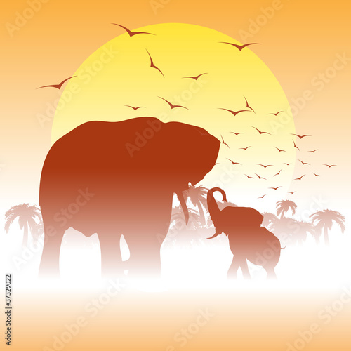 afrika
