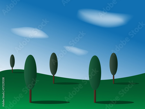 landscape