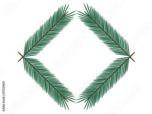 fir twig
