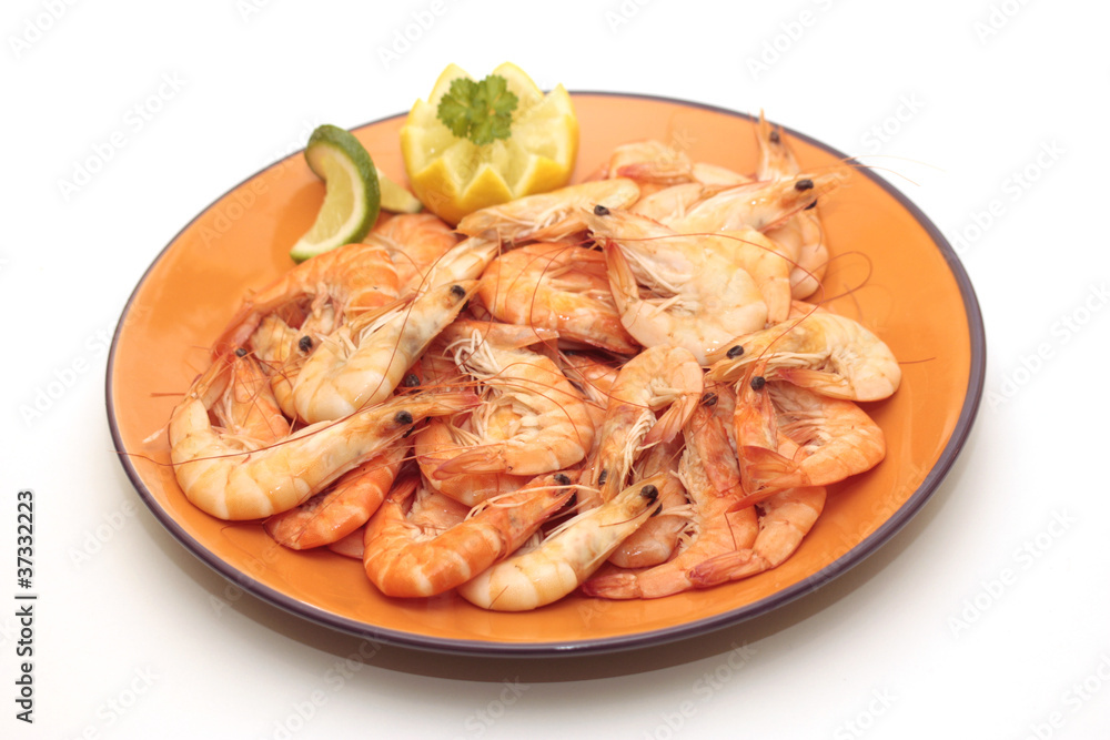 crevettes crevettes