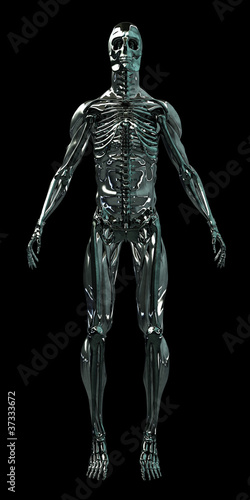 Cyborg Human Skeleton Android 3D