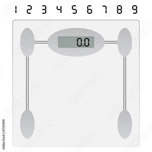 vector weight scale