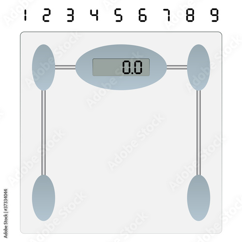 vector weight scale