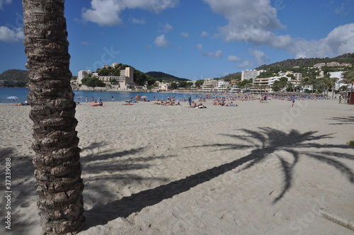 Palmira-Strand in Peguera, Mallorca photo