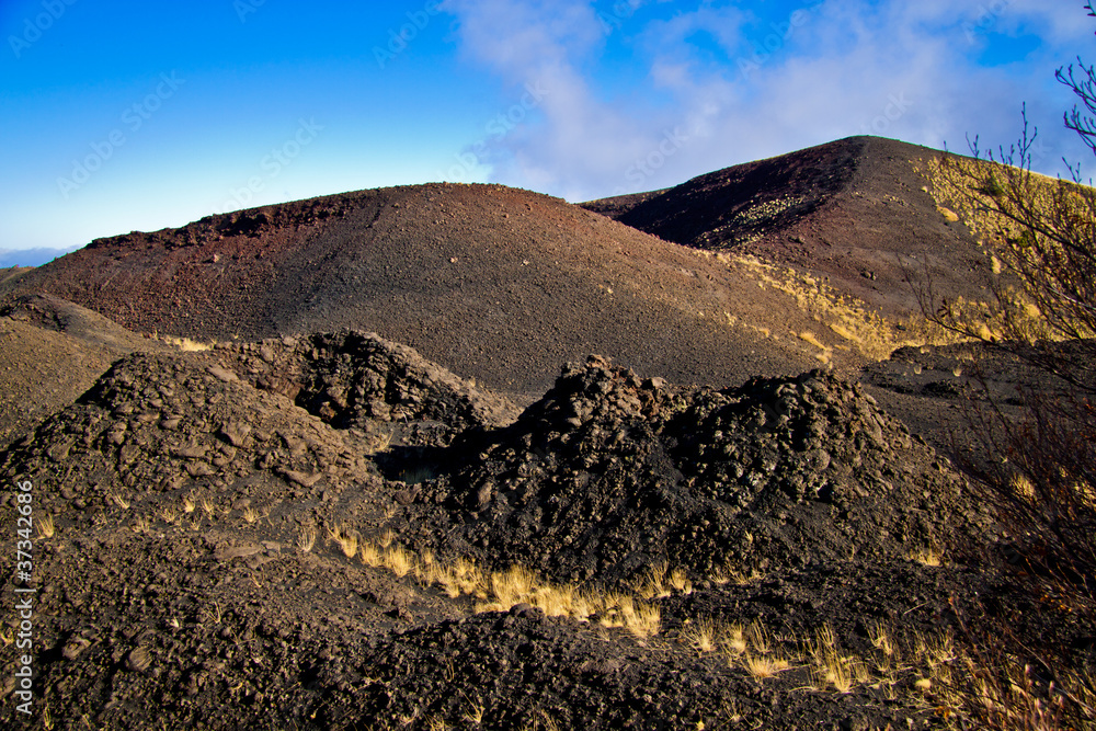 Etna 2002