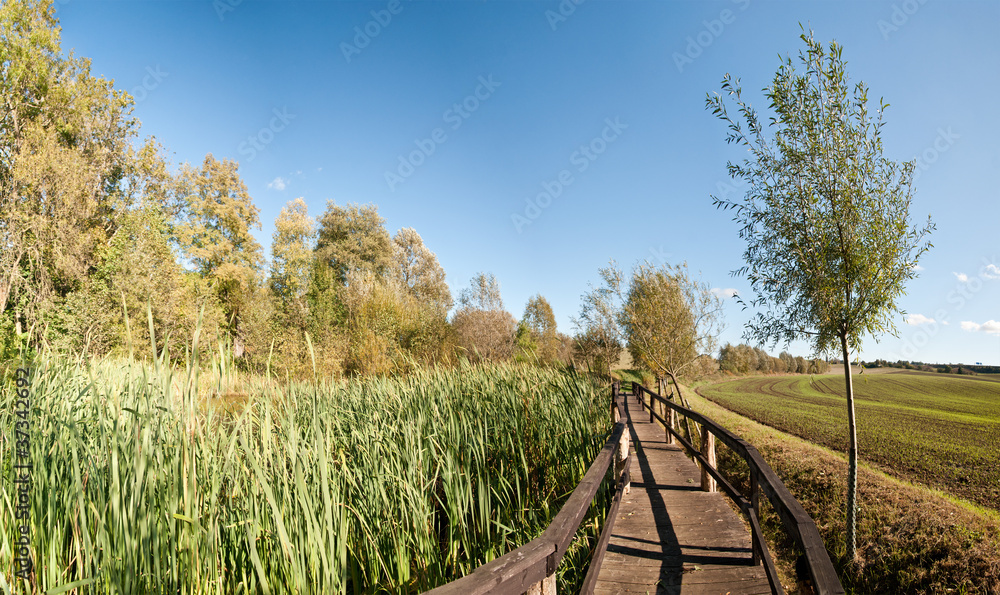 Swamp Bridge Swamp Bridge
