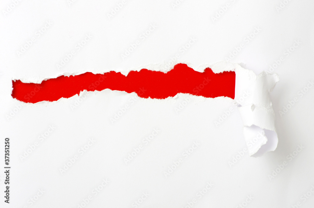 custom made wallpaper toronto digitaltorn paper